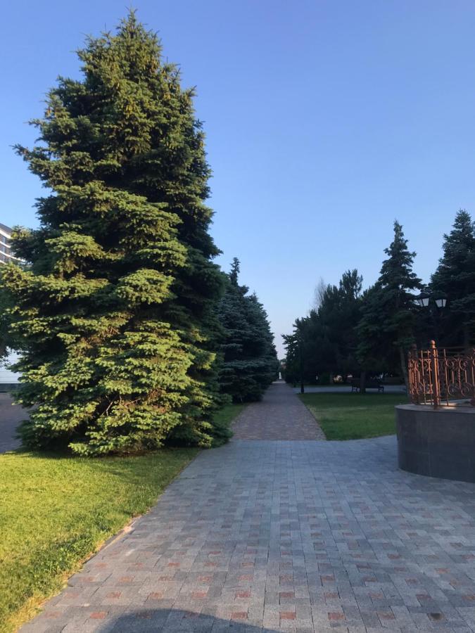 Спальня-студия с видом на море и парк Одеса Екстер'єр фото